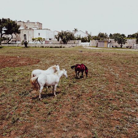 Masseria Francescani Torre Chianca Eksteriør billede